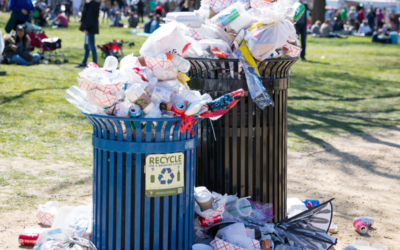 Top 3 things going into landfills today 