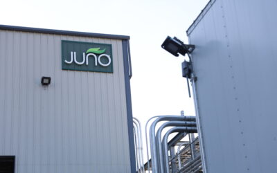 Juno® Technology LCA Reveals Carbon Reduction Potential